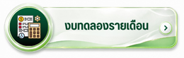 งบทดลองรายเดือน