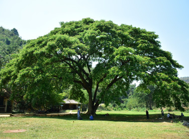 โครงการส่งเสริมการเป็นหุ้นส่วนเศรษฐกิจกับภาคเอกชนของชุมนุมสหกรณ์เดินรถ ... พารามิเตอร์รูปภาพ 9