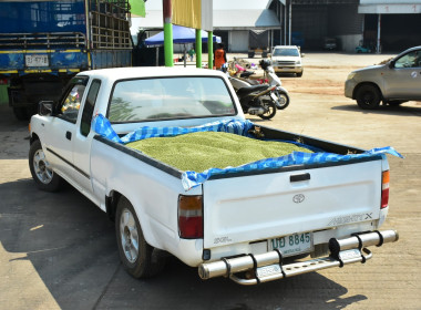 ลงพื้นที่ติดตามการดำเนินงานโครงการส่งเสริมการปลูกพืชหลังนาผ่านระบบสหกรณ์ ... พารามิเตอร์รูปภาพ 2