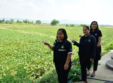 ลงพื้นที่ติดตามการดำเนินงานโครงการส่งเสริมการปลูกพืชหลังนาผ่านระบบสหกรณ์ ... พารามิเตอร์รูปภาพ 3