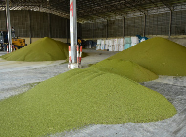 ลงพื้นที่ติดตามการดำเนินงานโครงการส่งเสริมการปลูกพืชหลังนาผ่านระบบสหกรณ์ ... พารามิเตอร์รูปภาพ 7