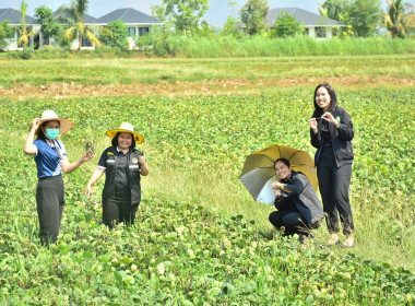 ลงพื้นที่ติดตามการดำเนินงานโครงการส่งเสริมการปลูกพืชหลังนาผ่านระบบสหกรณ์ ... พารามิเตอร์รูปภาพ 9