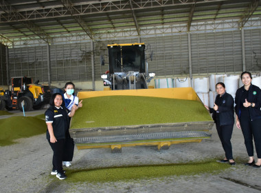 ลงพื้นที่ติดตามการดำเนินงานโครงการส่งเสริมการปลูกพืชหลังนาผ่านระบบสหกรณ์ ... พารามิเตอร์รูปภาพ 12