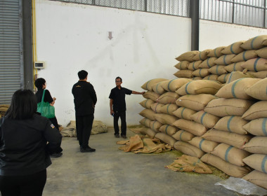 โครงการพัฒนาศักยภาพการผลิตเมล็ดพันธุ์ถั่วเหลืองและถั่วเขียวคุณภาพดี ... พารามิเตอร์รูปภาพ 3