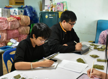 โครงการพัฒนาศักยภาพการผลิตเมล็ดพันธุ์ถั่วเหลืองและถั่วเขียวคุณภาพดี ... พารามิเตอร์รูปภาพ 4