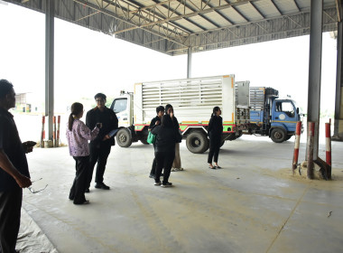 โครงการพัฒนาศักยภาพการผลิตเมล็ดพันธุ์ถั่วเหลืองและถั่วเขียวคุณภาพดี ... พารามิเตอร์รูปภาพ 9