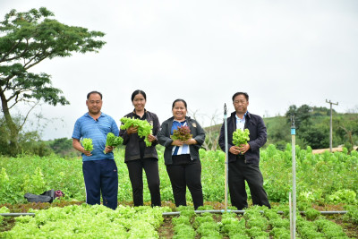 ลงพื้นที่ติดตามการดำเนินงานของสหกรณ์ผักปลอดภัยภูทับเบิก ... พารามิเตอร์รูปภาพ 1