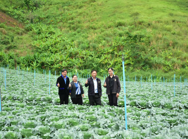ลงพื้นที่ติดตามการดำเนินงานของสหกรณ์ผักปลอดภัยภูทับเบิก ... พารามิเตอร์รูปภาพ 3
