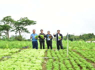 ลงพื้นที่ติดตามการดำเนินงานของสหกรณ์ผักปลอดภัยภูทับเบิก ... พารามิเตอร์รูปภาพ 4