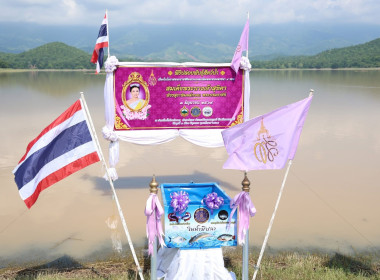 ร่วมกิจกรรมจิตอาสาปรับปรุงภูมิทัศน์และปล่อยพันธุ์สัตว์น้ำ พารามิเตอร์รูปภาพ 3