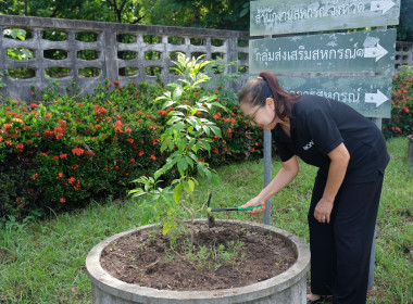 กิจกรรมวันต้นไม้ประจำปีของชาติ พ.ศ.2569 พารามิเตอร์รูปภาพ 1
