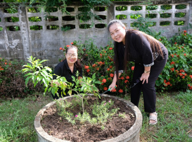 กิจกรรมวันต้นไม้ประจำปีของชาติ พ.ศ.2569 พารามิเตอร์รูปภาพ 2