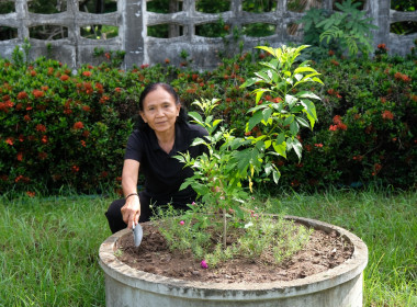 กิจกรรมวันต้นไม้ประจำปีของชาติ พ.ศ.2569 พารามิเตอร์รูปภาพ 3