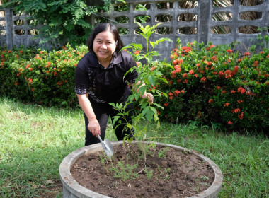 กิจกรรมวันต้นไม้ประจำปีของชาติ พ.ศ.2569 พารามิเตอร์รูปภาพ 13
