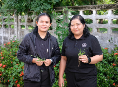 กิจกรรมวันต้นไม้ประจำปีของชาติ พ.ศ.2569 พารามิเตอร์รูปภาพ 16