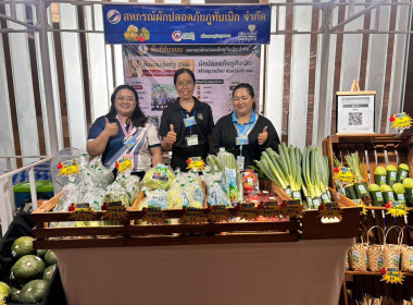 สก.ผักปลอดภัยภูทับเบิก จำกัด นำผักปลอดภัย ... พารามิเตอร์รูปภาพ 1