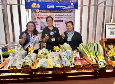 สก.ผักปลอดภัยภูทับเบิก จำกัด นำผักปลอดภัย ... พารามิเตอร์รูปภาพ 2