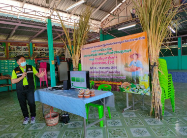 โครงการพัฒนาธุรกิจชุมชนในเขตปฏิรูปที่ดินจังหวัดเพชรบูรณ์ ... พารามิเตอร์รูปภาพ 1