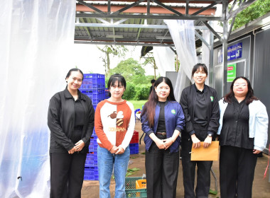 ติดตามการดำเนินงาน สหกรณ์ผักปลอดภัยภูทับเบิก จำกัด พารามิเตอร์รูปภาพ 2