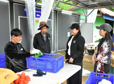 ติดตามการดำเนินงาน สหกรณ์ผักปลอดภัยภูทับเบิก จำกัด พารามิเตอร์รูปภาพ 10
