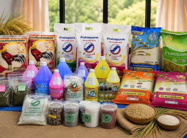 โครงการยกระดับศูนย์กระจายสินค้าสหกรณ์ (Cooperative ... พารามิเตอร์รูปภาพ 3