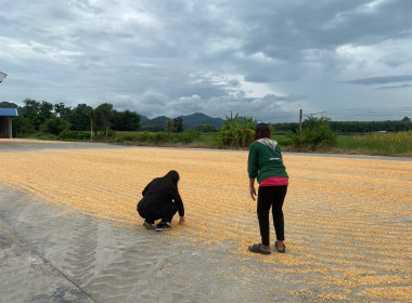 ลงพื้นที่ตรวจ ติดตาม การดำเนินงานรายการอุปกรณ์การตลาด ... พารามิเตอร์รูปภาพ 6