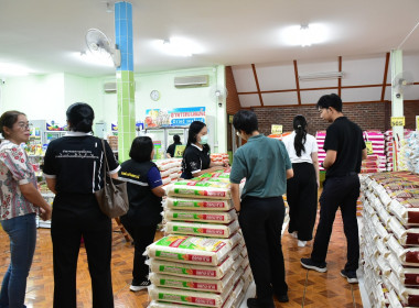 การติดตามการดำเนินงานโครงการเพิ่มประสิทธิภาพด้านการผลิตและการขนส่ง ... พารามิเตอร์รูปภาพ 15