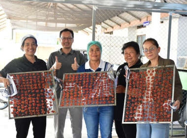 โครงการพัฒนาการแปรรูปและเพิ่มมูลค่ามะเขือเทศราชินี พารามิเตอร์รูปภาพ 5