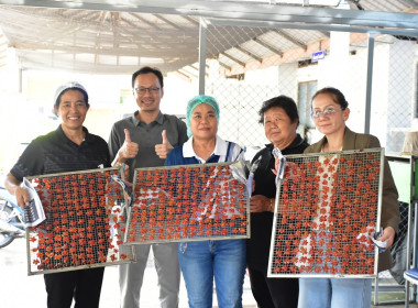 โครงการพัฒนาการแปรรูปและเพิ่มมูลค่ามะเขือเทศราชินี พารามิเตอร์รูปภาพ 11
