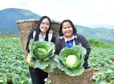 ร่วมให้ข้อมูลและจัดทำ VTR สหกรณ์ผักปลอดภัยภูทับเบิก จำกัด พารามิเตอร์รูปภาพ 4