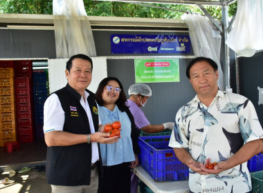 ร่วมให้ข้อมูลและจัดทำ VTR สหกรณ์ผักปลอดภัยภูทับเบิก จำกัด พารามิเตอร์รูปภาพ 10