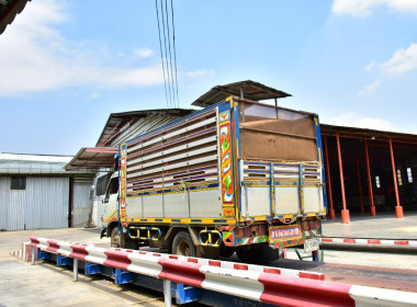 ติดตามการดำเนินงานโครงการส่งเสริมการผลิตและการตลาดข้าวโพดหลังนา สกก.เพชรบูรณ์ ... พารามิเตอร์รูปภาพ 2