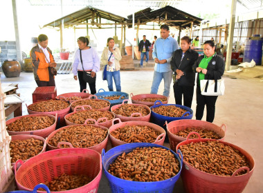 เข้าศึกษาดูงานกระบวนการรวบรวมแปรรูป และการตลาดฯ ... พารามิเตอร์รูปภาพ 6