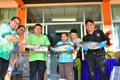 ร่วมสนับสนุนกระจายปลากะพงขาวออกนอกแหล่งผลิตพื้นที่จังหวัดปัตตานี ... พารามิเตอร์รูปภาพ 1