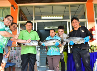 ร่วมสนับสนุนกระจายปลากะพงขาวออกนอกแหล่งผลิตพื้นที่จังหวัดปัตตานี ... พารามิเตอร์รูปภาพ 2