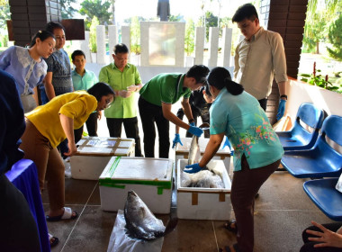 ร่วมสนับสนุนกระจายปลากะพงขาวออกนอกแหล่งผลิตพื้นที่จังหวัดปัตตานี ... พารามิเตอร์รูปภาพ 5