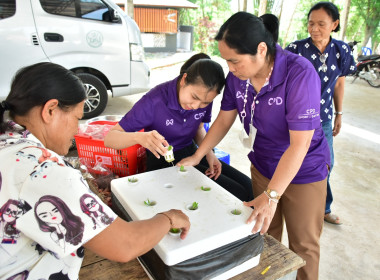 โครงการส่งเสริมและพัฒนาอาชีพเพื่อแก้ไขปัญหาที่ดินทำกินของเกษตรกร ประจำปีงบประมาณ พ.ศ.2567 ... พารามิเตอร์รูปภาพ 2