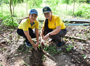 กิจกรรมวันต้นไม้ประจำปีของชาติ ประจำปี พ.ศ. 2567 พารามิเตอร์รูปภาพ 8