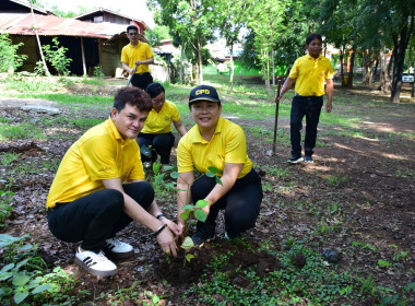 กิจกรรมวันต้นไม้ประจำปีของชาติ ประจำปี พ.ศ. 2567 พารามิเตอร์รูปภาพ 9