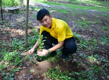 กิจกรรมวันต้นไม้ประจำปีของชาติ ประจำปี พ.ศ. 2567 พารามิเตอร์รูปภาพ 10