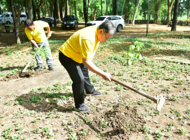 กิจกรรมวันต้นไม้ประจำปีของชาติ ประจำปี พ.ศ. 2567 พารามิเตอร์รูปภาพ 12