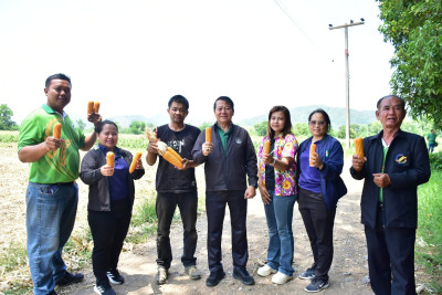 ติดตามการดำเนินงานโครงการส่งเสริมการปลูกพืชหลังนาผ่านระบบสหกรณ์ สกก.เพื่อการตลาดลูกค้า ธ.ก.ส.พ.ช. จำกัด ... พารามิเตอร์รูปภาพ 1