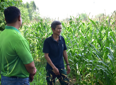 ติดตามการดำเนินงานโครงการส่งเสริมการปลูกพืชหลังนาผ่านระบบสหกรณ์ สกก.เพื่อการตลาดลูกค้า ธ.ก.ส.พ.ช. จำกัด ... พารามิเตอร์รูปภาพ 4