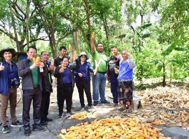 ติดตามการดำเนินงานโครงการส่งเสริมการปลูกพืชหลังนาผ่านระบบสหกรณ์ สกก.เพื่อการตลาดลูกค้า ธ.ก.ส.พ.ช. จำกัด ... พารามิเตอร์รูปภาพ 6