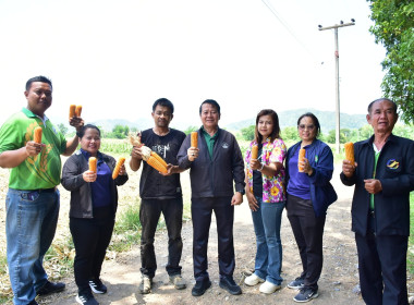 ติดตามการดำเนินงานโครงการส่งเสริมการปลูกพืชหลังนาผ่านระบบสหกรณ์ สกก.เพื่อการตลาดลูกค้า ธ.ก.ส.พ.ช. จำกัด ... พารามิเตอร์รูปภาพ 8