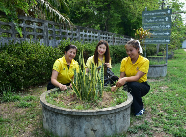 สำนักงานสหกรณ์จังหวัดเพชรบูรณ์ จัดกิจกรรม Big Cleaning Day พารามิเตอร์รูปภาพ 10