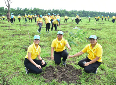 ร่วมกิจกรรมจิตอาสาเฉลิมพระเกียรติสมเด็จพระนางเจ้าฯ ... พารามิเตอร์รูปภาพ 7