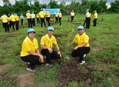 ร่วมกิจกรรมจิตอาสาเฉลิมพระเกียรติสมเด็จพระนางเจ้าฯ ... พารามิเตอร์รูปภาพ 9