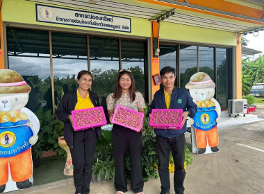 ร่วมกระจายลำไย จาก สหกรณ์การเกษตรเพื่อการตลาดลูกค้า ... พารามิเตอร์รูปภาพ 3