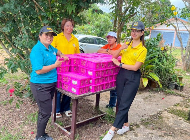 ร่วมกระจายลำไย จาก สหกรณ์การเกษตรเพื่อการตลาดลูกค้า ... พารามิเตอร์รูปภาพ 8